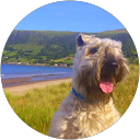 paul kelso profile picture