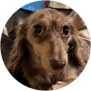 Christopher Healy Christopher Healy